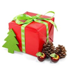 Presents For Christmas - Giving the Perfect Christmas Gift | Good to ...