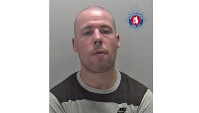 'Grinning' car thief and burglar is jailed