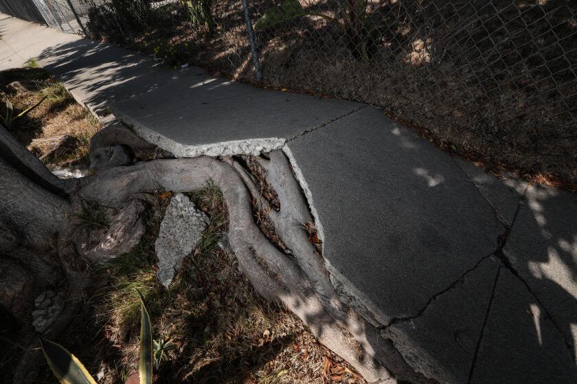 Opinion: How can L.A. finally fix our terrible, dangerous sidewalks?