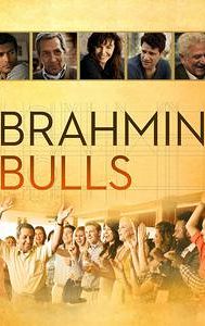 Brahmin Bulls