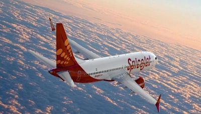 SpiceJet vs Kalanithi Maran: SC upholds high court order, sends dispute back to single judge