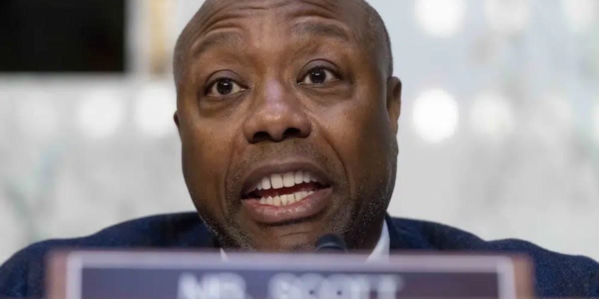 Senator Tim Scott calls on Secret Service Director Cheatle to resign