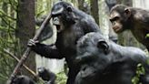 Would Adding ‘Apes’ Character Koba Make Other Movies Better? Social Media Seems to Think So