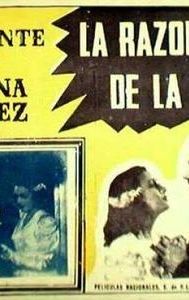 La razón de la culpa