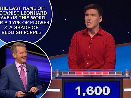 ‘Jeopardy!’ champion James Holzhauer’s risque joke gets huge reaction