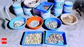 Chemistry of Clandestine Meth Labs in Gujarat | Ahmedabad News - Times of India