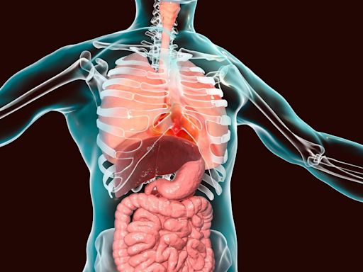 Qué ocurre en el cuerpo humano cuando los órganos están en el lugar equivocado