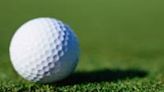 Ellis wins Summerville's Chick Miler Invitational golf