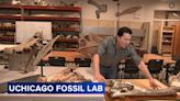 University of Chicago fossil lab opens in Washington Park