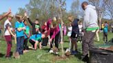 Jane Addams Elementary School students plant trees for Arbor Day