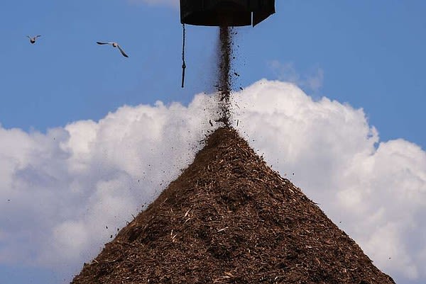 Wood pellets production boomed to feed EU demand. It comes at a cost for Black people in the South | Texarkana Gazette