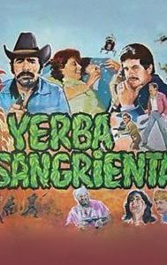 Yerba sangrienta