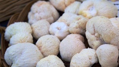 Lion's mane mushrooms are trending, but what are the health benefits of taking them?