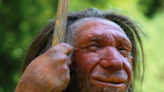 Neanderthals might have lived as ‘different human form’ instead of separate species, scientists say