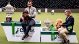 11 fun Crufts Dog Show facts you never knew