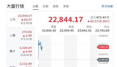 台股開盤》大盤開紅挑戰23000點 分析師：留意個股跌多漲少