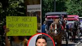 Kendall Jenner and other celebrities say NYC should ban carriage horses after a viral video showed one collapsed on a street