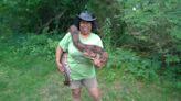 Ever met an alligator or anaconda in Taunton? Chances are Marla Isaac was there.
