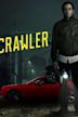 Nightcrawler (film)