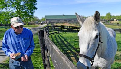 For ex-Derby winner Silver Charm, it's a life of leisure and Old Friends at Kentucky retirement farm