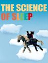 Science of Sleep – Anleitung zum Träumen