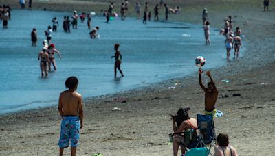 Take a dip in dirty water? Here's how to tell if it's safe to swim