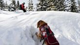 A Colorado backcountry skier freed himself after an avalanche and tried to save his son. After a two hour search, his son was found dead.