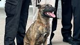 Oneida County's newest K9 named in honor of fallen Syracuse Police officer