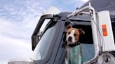 Truckstop says: Beware of ‘im-paw-sters’ during Take your Pet to Work Week - TheTrucker.com