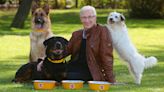 Paul O’Grady put Battersea Dogs and Cats Home on the map, charity CEO says