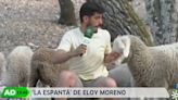 El momento en el que un reportero de Andalucía Directo es embestido en directo por una oveja: "Está siendo valiente"