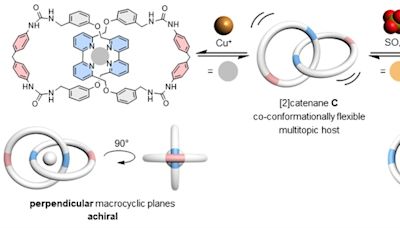 HKU Chemists Develop a Chameleon-like Molecular Chain with Dual Ion Binding Capability