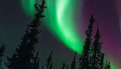 Here's how to watch tonight's 'amazing' aurora borealis on the Prairies