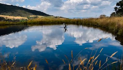 Bogotá y Cundinamarca firman nuevo acuerdo para conservar el agua en la región: se protegerán 252,5 hectáreas