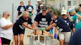Sea turtle rescue: Three rehabilitated patients get second chance at a long, happy life