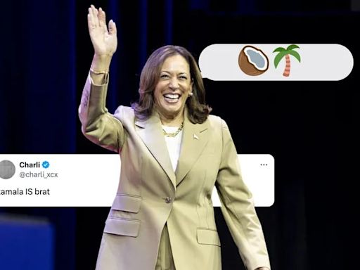 ‘You think you just fell out of a coconut tree?’ Kamala Harris memes get their moment