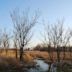 Haskell-Baker Wetlands