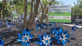 DeKalb County pinwheel garden raises awareness for Child Abuse Prevention Month