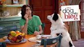 Dog with a Blog Season 2 Streaming: Watch & Stream Online via Disney Plus