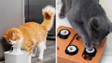 Say Goodbye To Cat-Related Stress With These 20 Useful Target Products