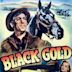 Black Gold (1947 film)