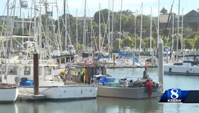 Santa Cruz salmon anglers facing challenges keeping afloat - KVIA