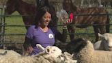 Remarkable woman Thao Le shows compassion to all living things