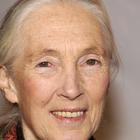 Jane Goodall