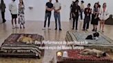 PAN critica performance con perros en Museo Tamayo y acusa a Morena de maltrato animal por propaganda