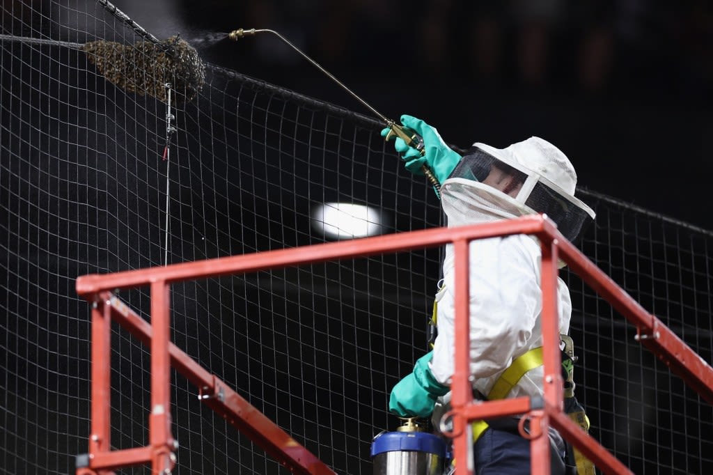 Dodgers-Diamondbacks delayed by bee swarm at Chase Field