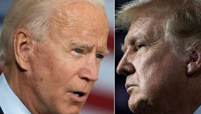 Biden may forget to turn off porch light but Trump 'will kill your dog': Ex-Bush adviser