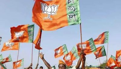 How BJP, Confident Of Big Lok Sabha Polls Win, Is Planning Celebrations