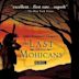 The Last of the Mohicans (TV series)