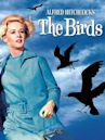 The Birds (film)